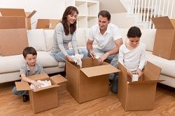 domestic moving service